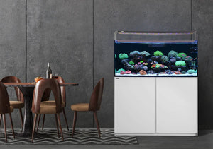 Landen SD Freshwater Tank And Cabinet