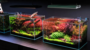 Landen SD Freshwater Tank