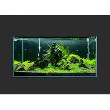 Landen SD Freshwater Tank And Cabinet