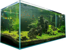 Landen Freshwater Tank And Cabinets