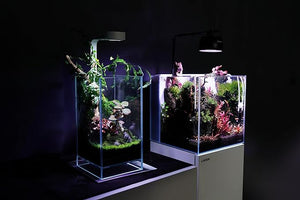 Landen ALL-IN-ONE Freshwater Aquarium Tank