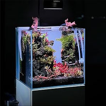 Landen ALL-IN-ONE Freshwater Aquarium Tank