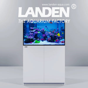 Landen Reef Master