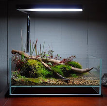 LANDEN Glass Air Tank