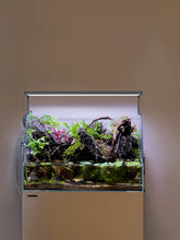 LANDEN Paludarium Tank